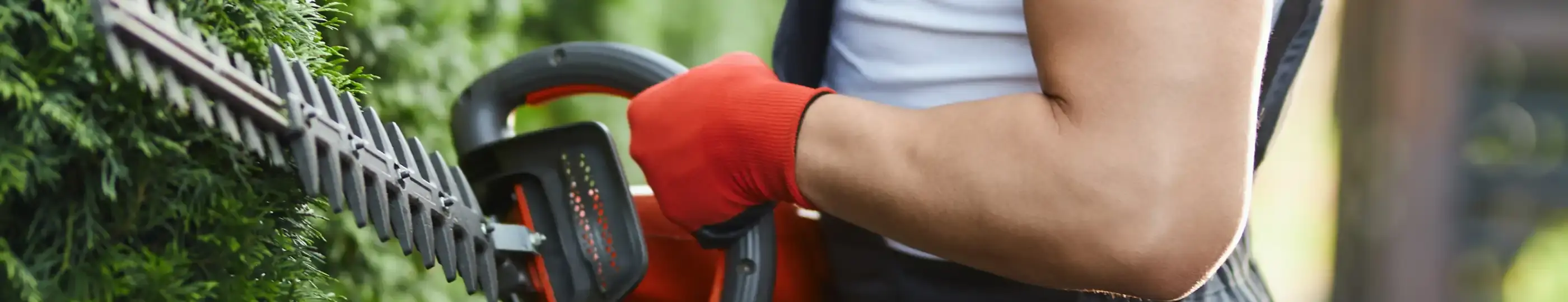 hecken-rot-handschuhe-arbeiter