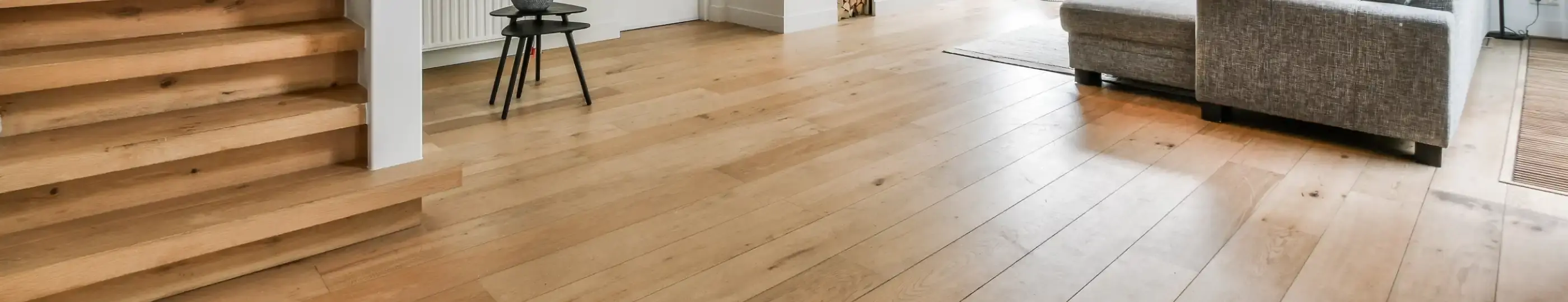 wohnzimmer-reinigung-pflege-couch