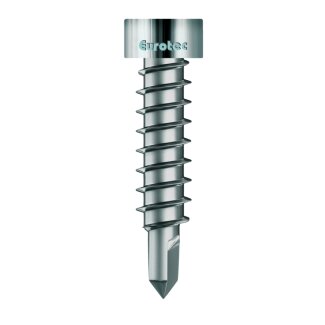 Eurotec Thermofixschraube mit Bohrspitze 4,2 x 22 mm (100...