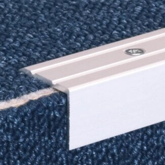 Prinz Treppenkantenprofill Nr. 162, silber, 100 cm