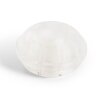 Macadoor Wandpuffer, transparent